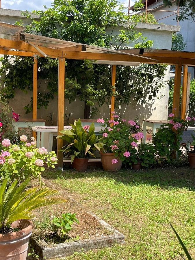 Casa Violetta Bed & Breakfast Marina di Massa Εξωτερικό φωτογραφία